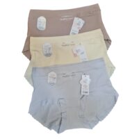 Seamless Panty for women ( Pack of 3) Free Size