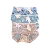 Net Panty for women ( Pack of 3) Free Size