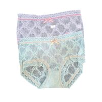 Lace Panty for Women ( Pack of 2)