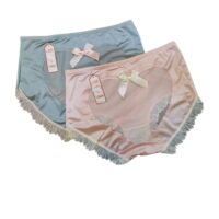 Net Panty for women ( Pack of 2) Free Size