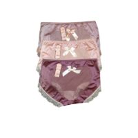 Silk Plus Net Panty For Women (Pack of 3)