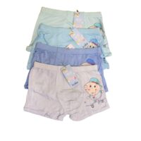 Cartoon Printed Boxer Panty For Boys (Pack of 4)