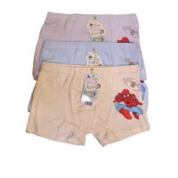 Cartoon Printed Boxer Panty For Boys (Pack of 3)