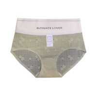 High vest Net design Panty for women