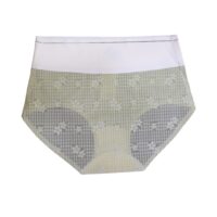 High vest Net design Panty for women - Image 2