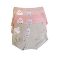 Seamless Panty for women ( Pack of 2) Free Size