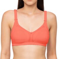 Shrishti Juliet Cotton Bra for women