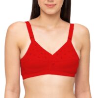 Nari Juliet Red Color Bra for women