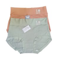 Seamless Panty for women ( Pack of 2) Free Size