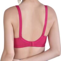 Alishan Bra Non wired Non Padded Detachable strap bra for women (Pack of 2) - Image 2