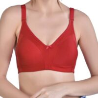 Alishan Bra Dark Red Non wired Non Padded bra for women (Pack of 2)