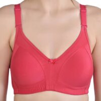 Alishan Bra Non wired Non Padded Detachable strap bra for women (Pack of 2)