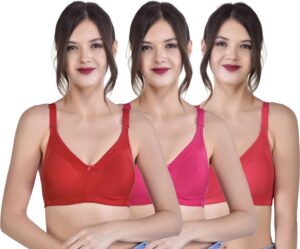Alishan Bra Non wired Non Padded Detachable strap bra for women (Pack of 2) - Image 3