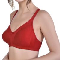 Alishan Bra Dark Red Non wired Non Padded bra for women (Pack of 2) - Image 2